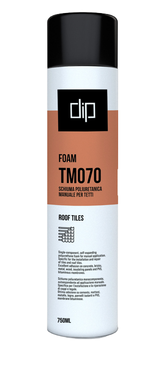 DIP TM070